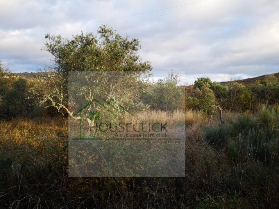 Terreno para Venda em Santo Estêvão e Moita Foto 4