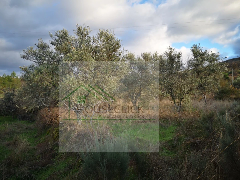 Terreno para Venda em Santo Estêvão e Moita Foto 5