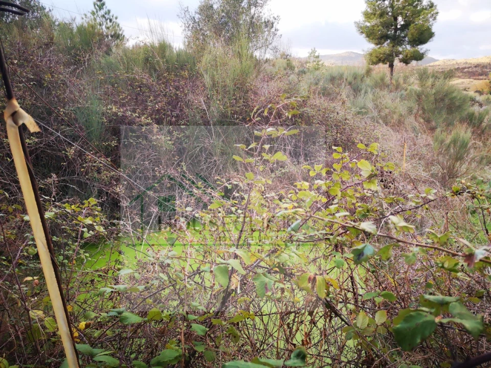 Terreno para Venda em Santo Estêvão e Moita Foto 12