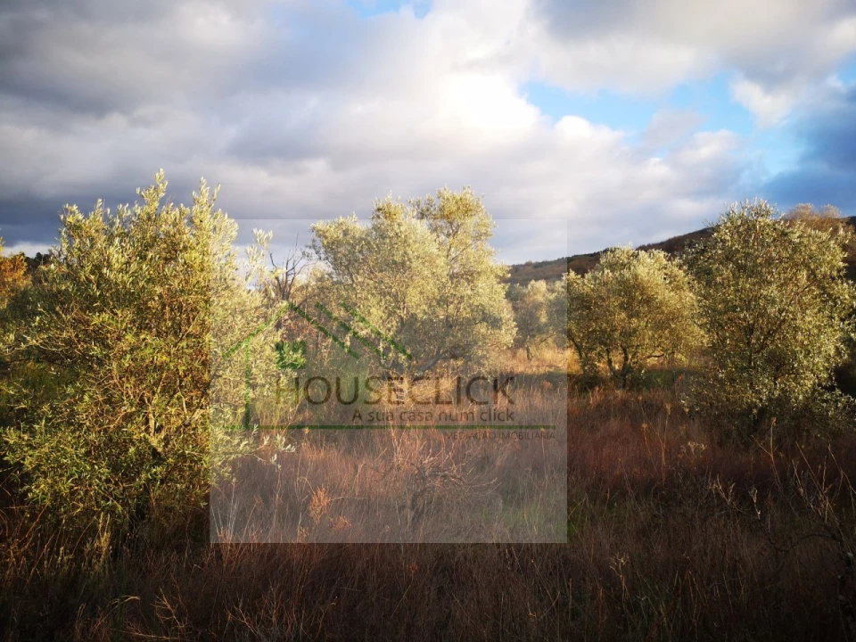 Terreno para Venda em Santo Estêvão e Moita Foto 13