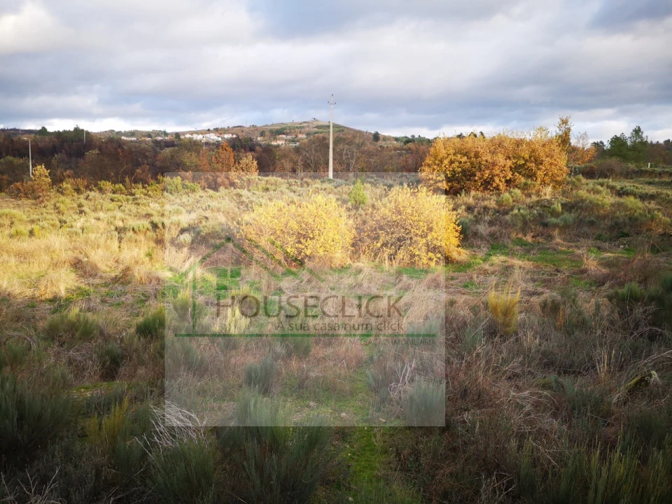 Terreno para Venda em Santo Estêvão e Moita Foto 14