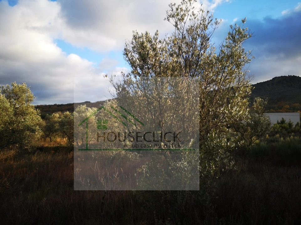 Terreno para Venda em Santo Estêvão e Moita Foto 15