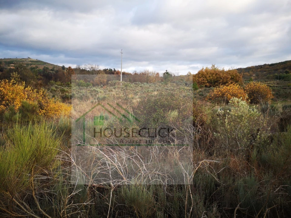 Terreno para Venda em Santo Estêvão e Moita Foto 17