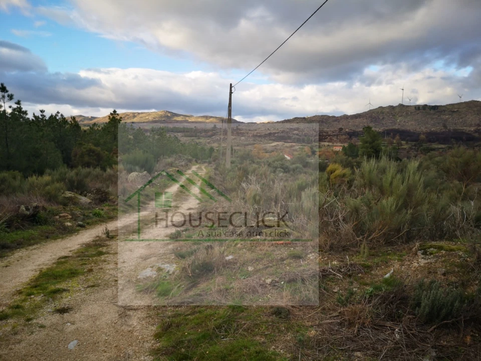 Terreno para Venda em Santo Estêvão e Moita Foto 21