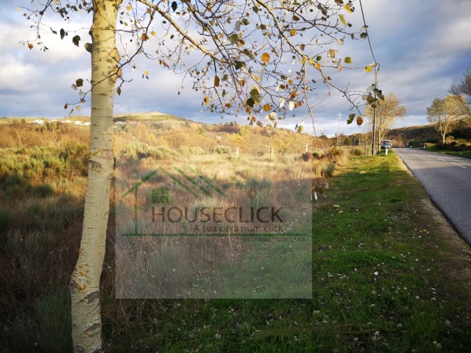 Terreno para Venda em Santo Estêvão e Moita Foto 1