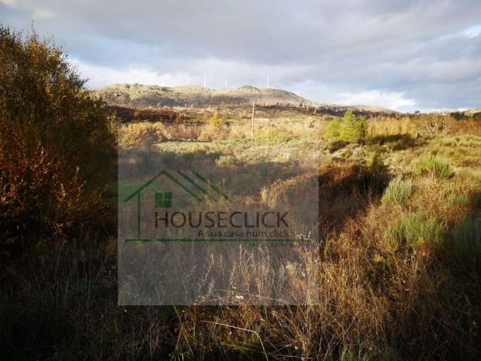 Terreno para Venda em Santo Estêvão e Moita Foto 2