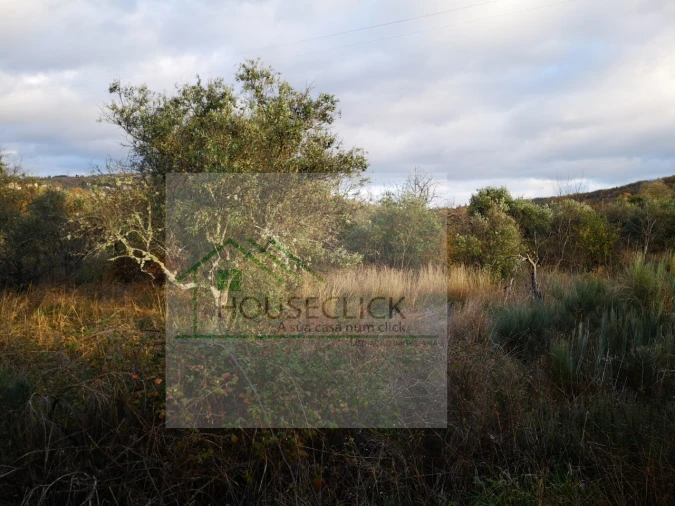Terreno para Venda em Santo Estêvão e Moita Foto 4