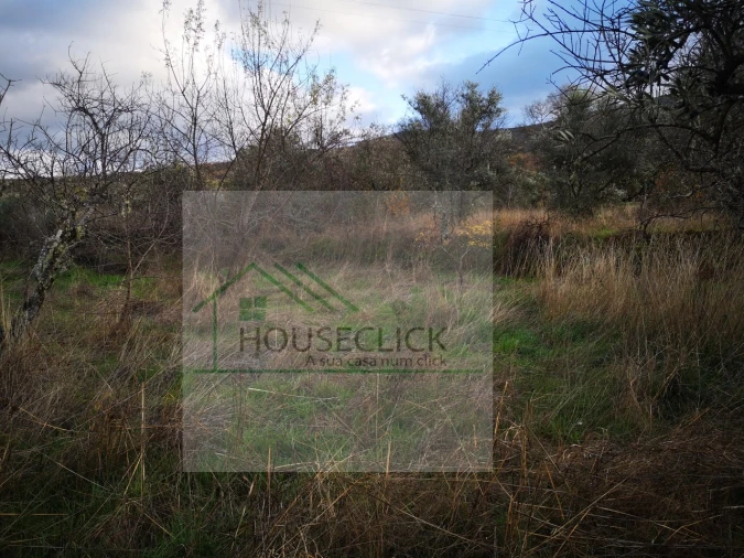 Terreno para Venda em Santo Estêvão e Moita Foto 8