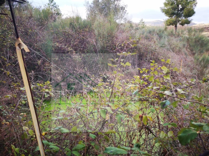 Terreno para Venda em Santo Estêvão e Moita Foto 9