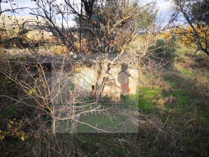 Terreno para Venda em Santo Estêvão e Moita Foto 10