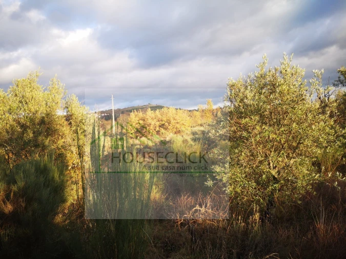 Terreno para Venda em Santo Estêvão e Moita Foto 11