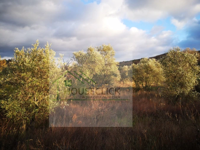 Terreno para Venda em Santo Estêvão e Moita Foto 13