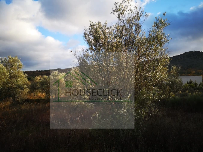 Terreno para Venda em Santo Estêvão e Moita Foto 15