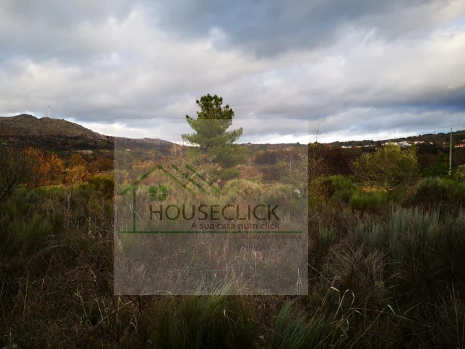 Terreno para Venda em Santo Estêvão e Moita Foto 19