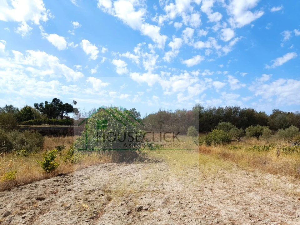 Terreno para Venda em Inguias Foto 5