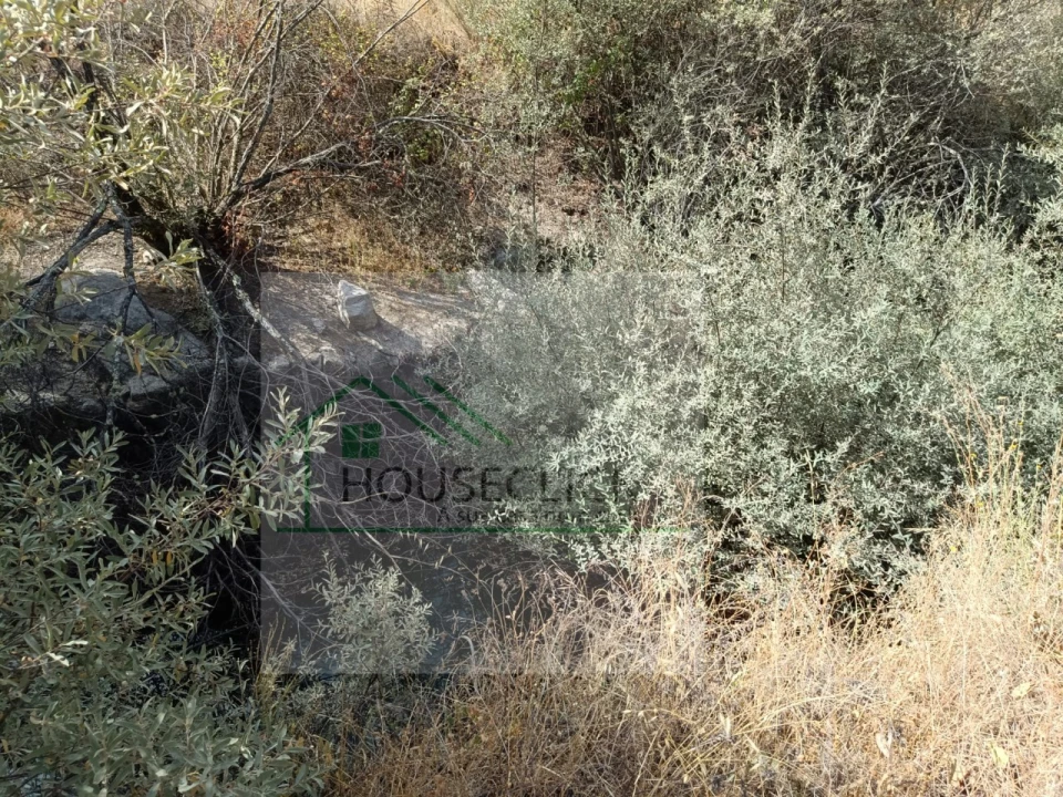 Terreno para Venda em Inguias Foto 6