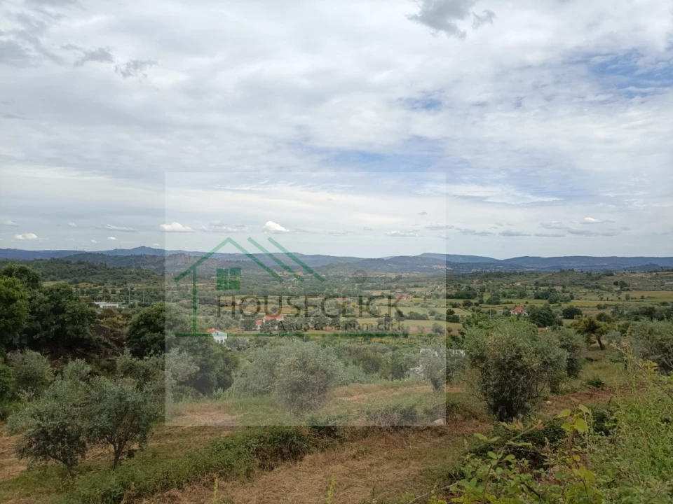 Terreno para Venda em Belmonte e Colmeal da Torre Foto 1