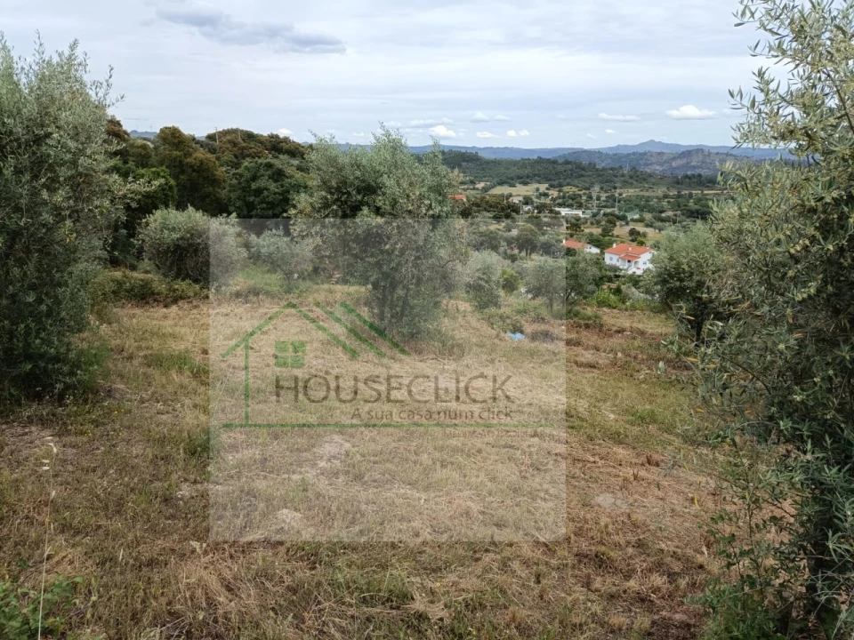 Terreno para Venda em Belmonte e Colmeal da Torre Foto 2