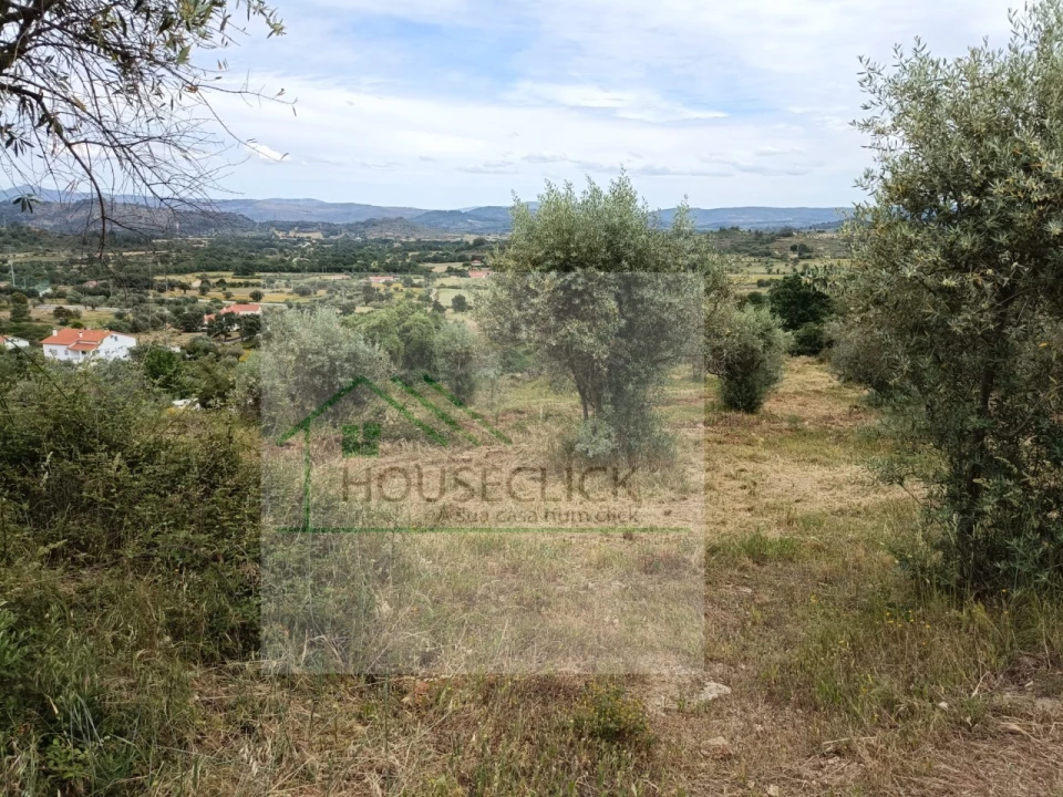 Terreno para Venda em Belmonte e Colmeal da Torre Foto 3