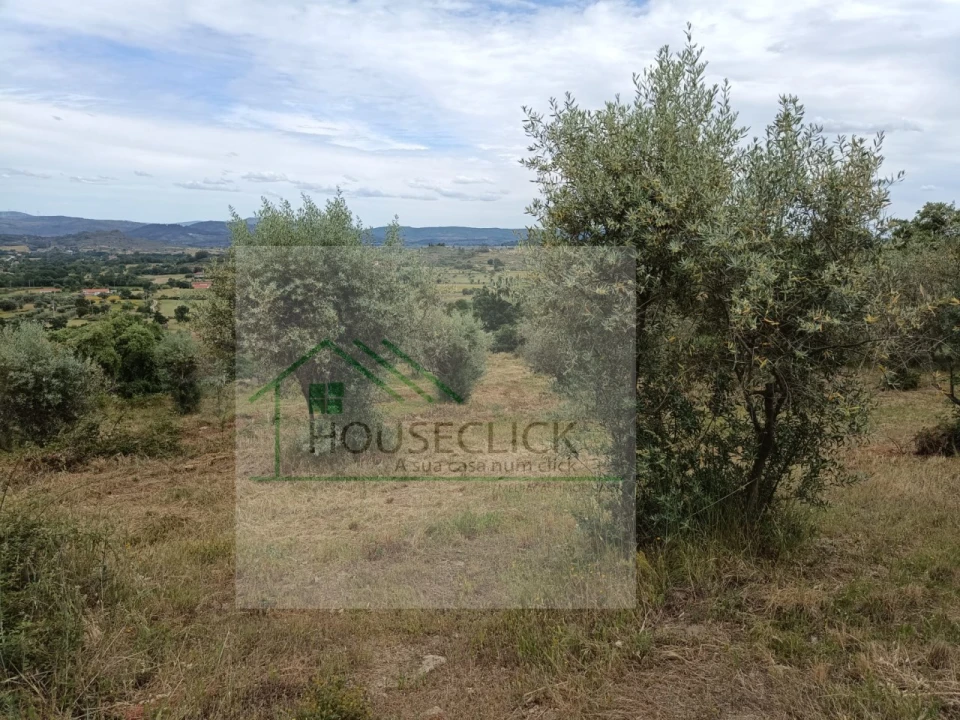 Terreno para Venda em Belmonte e Colmeal da Torre Foto 4