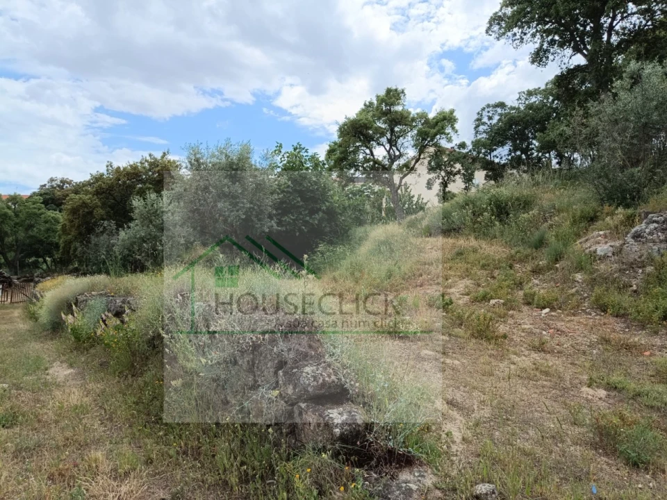 Terreno para Venda em Belmonte e Colmeal da Torre Foto 5