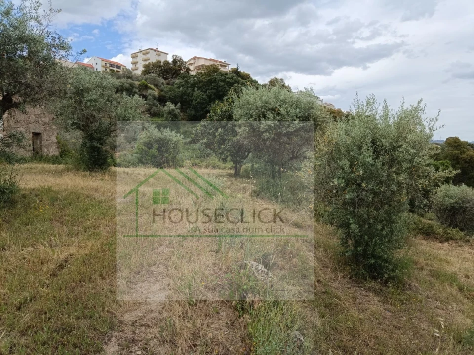 Terreno para Venda em Belmonte e Colmeal da Torre Foto 8