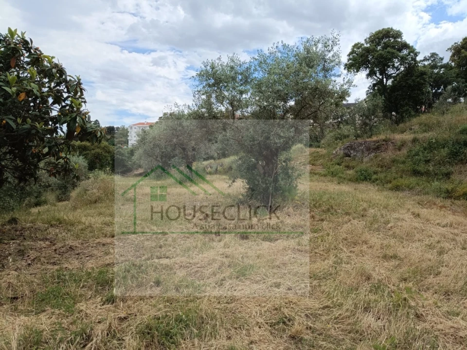 Terreno para Venda em Belmonte e Colmeal da Torre Foto 9