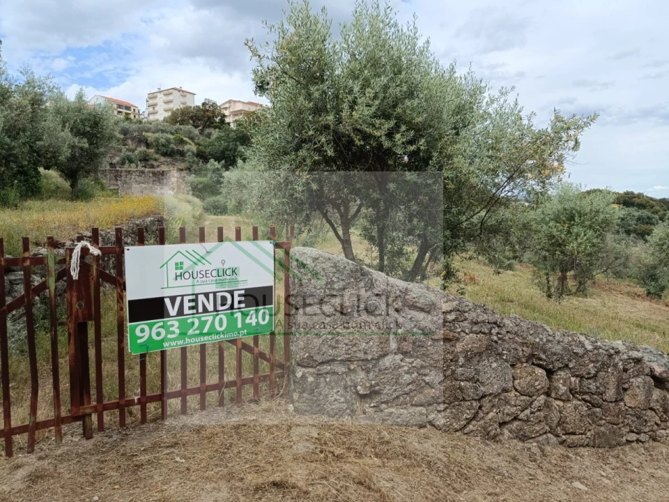 Terreno para Venda em Belmonte e Colmeal da Torre Foto 13