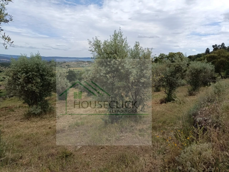 Terreno para Venda em Belmonte e Colmeal da Torre Foto 15