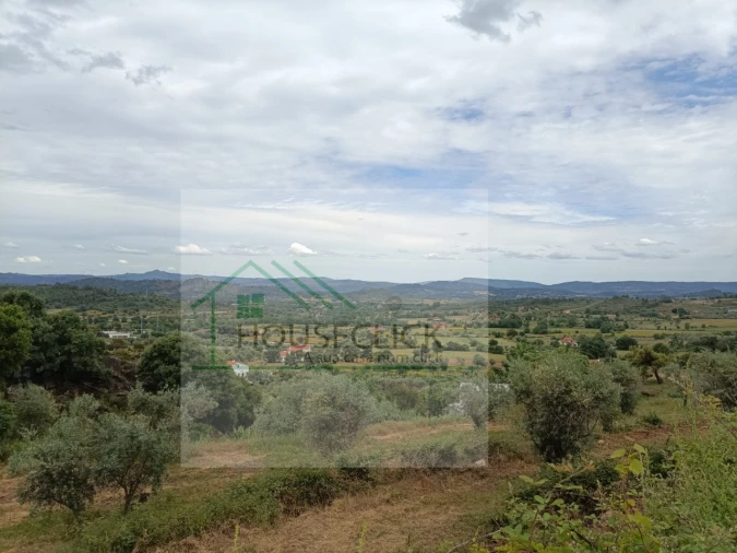 Terreno para Venda em Belmonte e Colmeal da Torre Foto 1