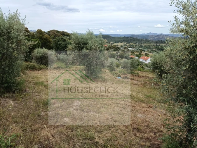 Terreno para Venda em Belmonte e Colmeal da Torre Foto 2