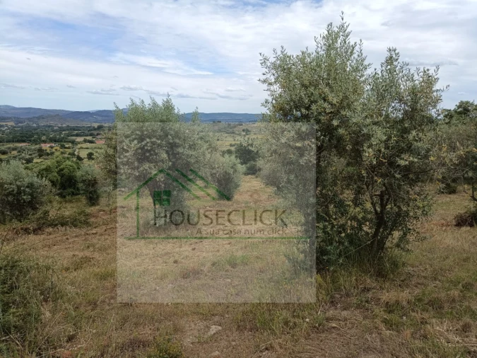 Terreno para Venda em Belmonte e Colmeal da Torre Foto 4