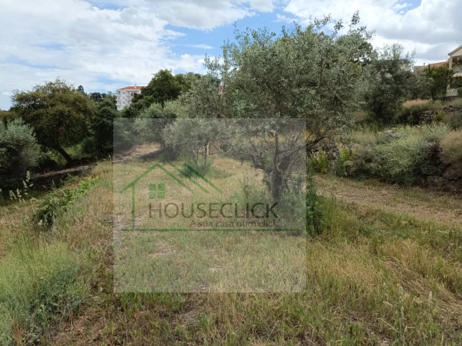 Terreno para Venda em Belmonte e Colmeal da Torre Foto 6