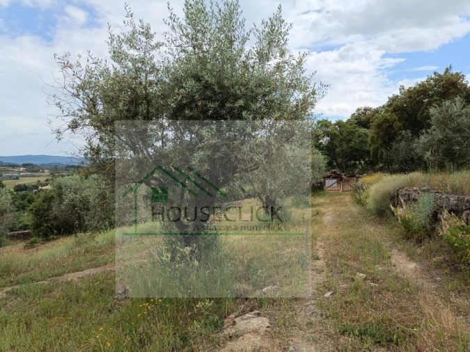 Terreno para Venda em Belmonte e Colmeal da Torre Foto 7