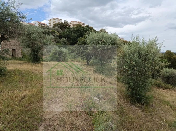 Terreno para Venda em Belmonte e Colmeal da Torre Foto 8