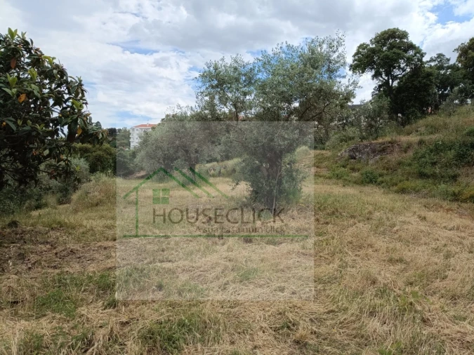 Terreno para Venda em Belmonte e Colmeal da Torre Foto 9