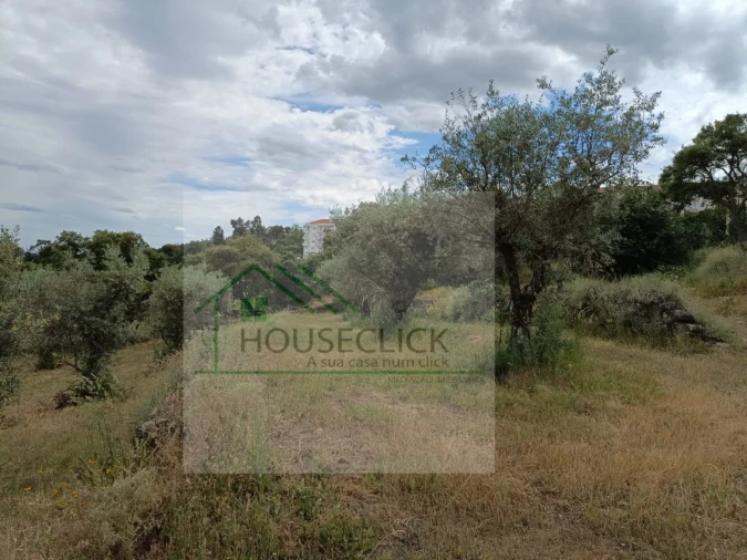 Terreno para Venda em Belmonte e Colmeal da Torre Foto 11