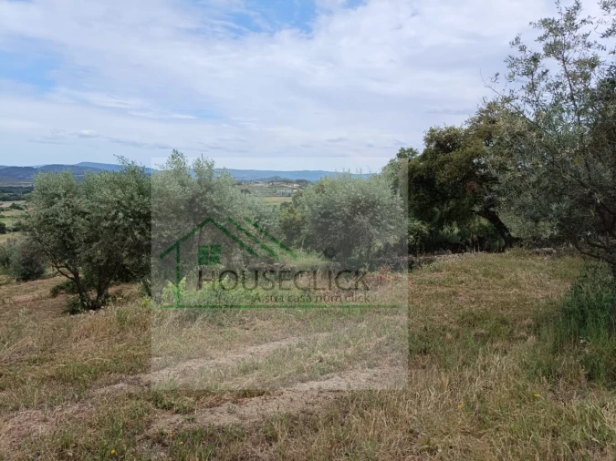 Terreno para Venda em Belmonte e Colmeal da Torre Foto 12