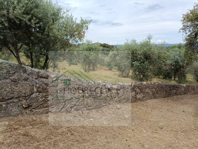 Terreno para Venda em Belmonte e Colmeal da Torre Foto 14