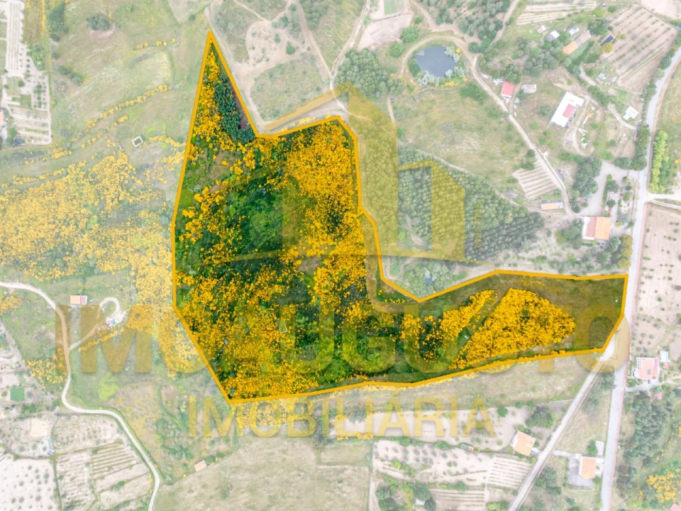 Terreno para Venda em Figueiró da Serra e Freixo da Serra Foto 1