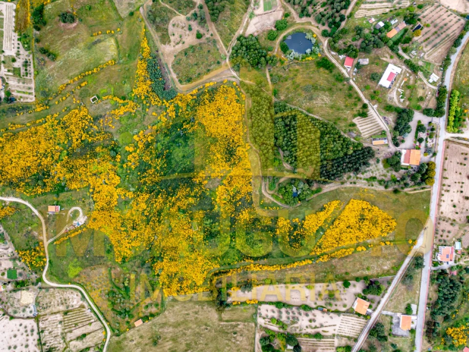 Terreno para Venda em Figueiró da Serra e Freixo da Serra Foto 2