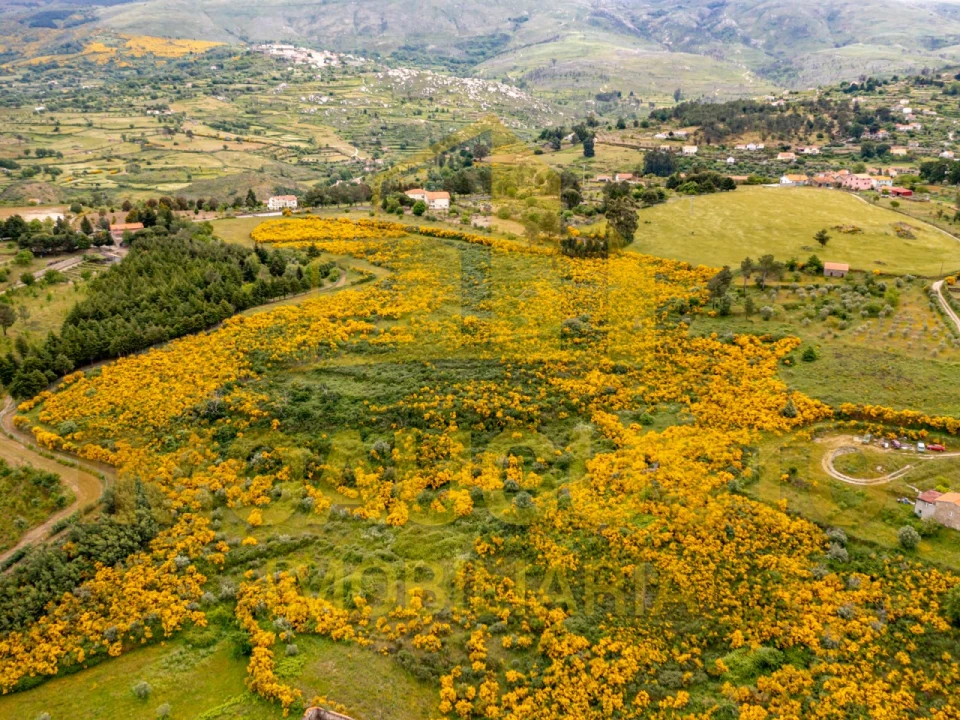 Terreno para Venda em Figueiró da Serra e Freixo da Serra Foto 6