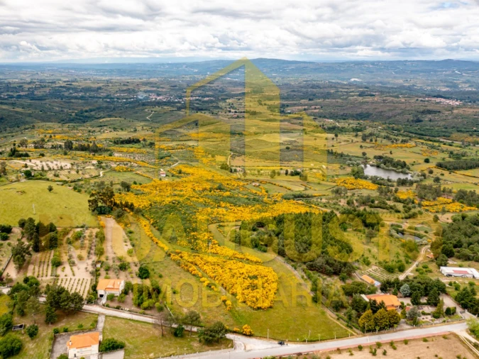 Terreno para Venda em Figueiró da Serra e Freixo da Serra Foto 4