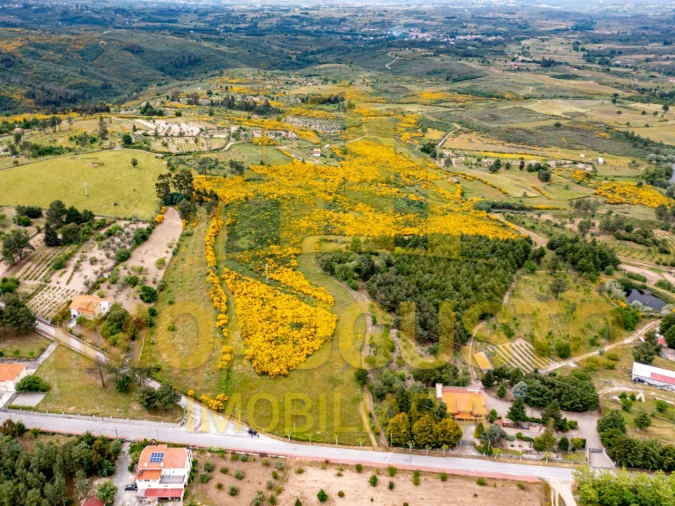 Terreno para Venda em Figueiró da Serra e Freixo da Serra Foto 5
