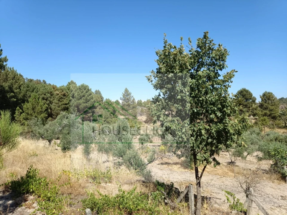 Terreno para Venda em Inguias Foto 3