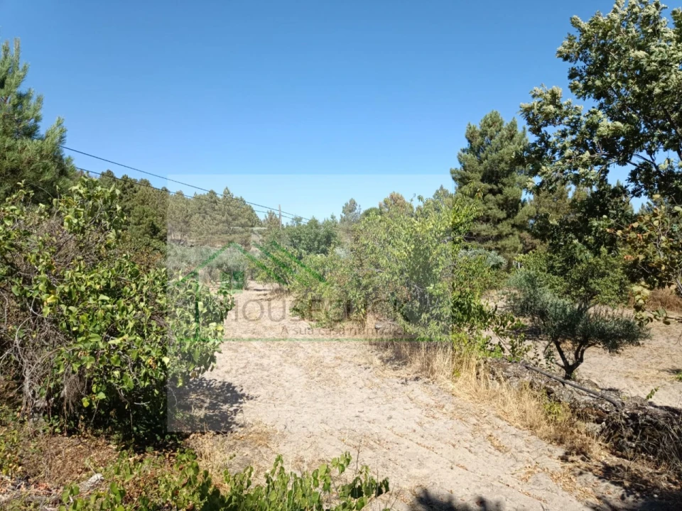 Terreno para Venda em Inguias Foto 6