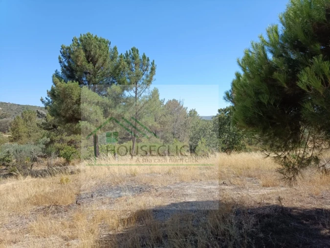 Terreno para Venda em Inguias Foto 2