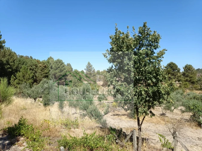 Terreno para Venda em Inguias Foto 3