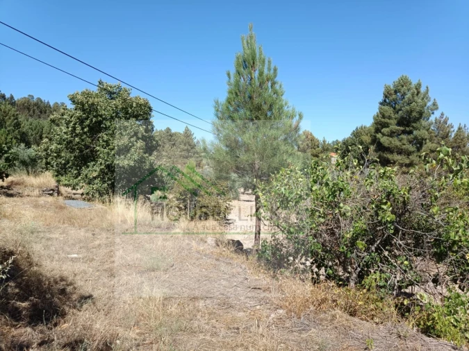 Terreno para Venda em Inguias Foto 5