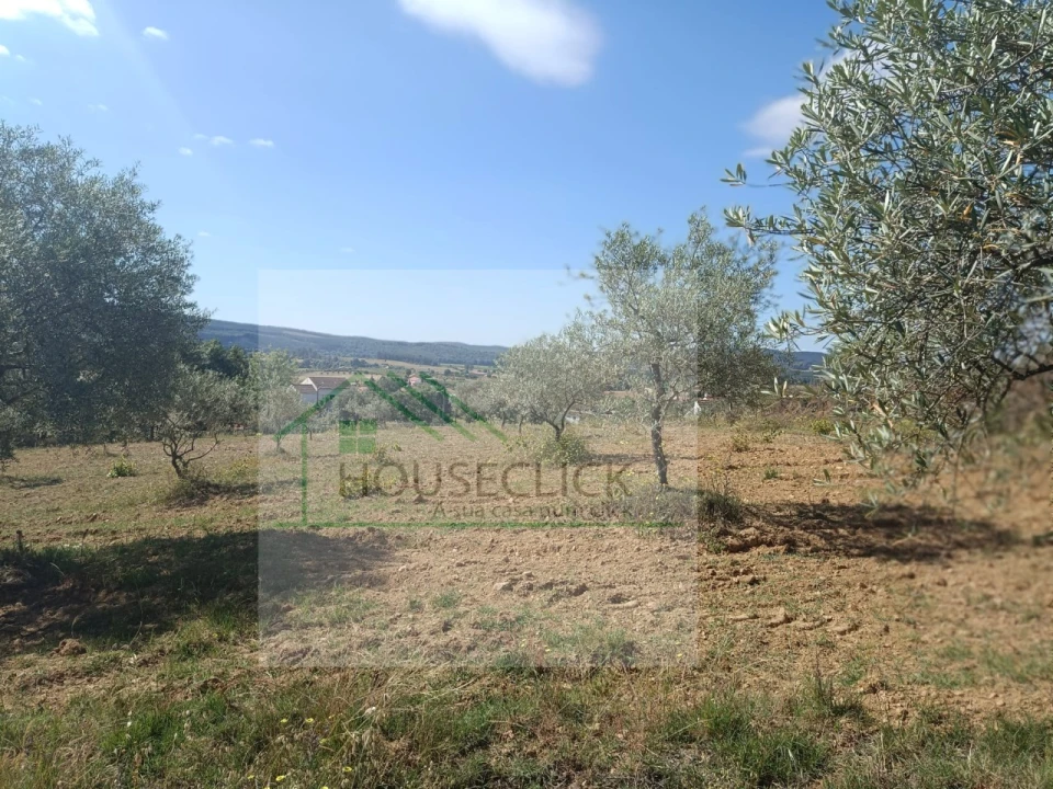 Terreno para Venda em Três Povos Foto 3